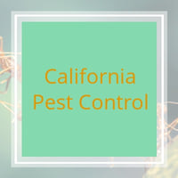 11 Best Pest Control Companies in Stockton, CA | Exterminators