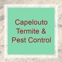 18 Best Pest Control Services in Tallahassee, FL ...