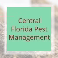 11 Best Pest Control Companies In Winter Haven Fl Exterminators