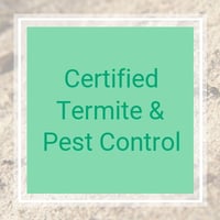 The 12 Best Pest Control Companies in Dallas, TX