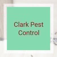 11 Best Pest Control Companies In Chico Ca Exterminators
