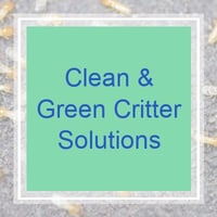 Attic Ventilation California Gutter Cleaning Santa Rosa Green Roofing