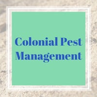 11 Best Pest Control Companies in Fallbrook, CA ...