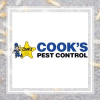 10 Best Pest Control Services In Lawrenceville Ga Exterminators