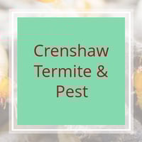 10 Best Pest Control Services in New Port Richey, FL ...