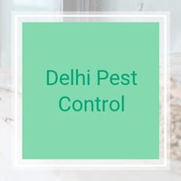 10 Best Pest Control Services In Cincinnati Oh Exterminators