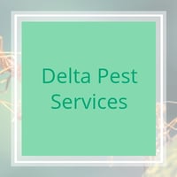 11 Best Pest Control Companies In Brentwood Ca Exterminators