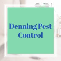 11 Best Pest Control Companies In Columbia Mo Exterminators