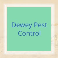 11 Best Pest Control Companies In Gardena Ca Exterminators