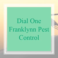 11 Best Pest Control Companies in Metairie, LA | Exterminators