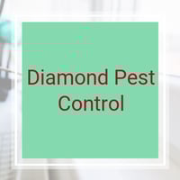 11 Best Pest Control Companies in Quincy, MA | Exterminators