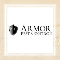 Learn How To Get Rid Of Pests Do It Yourself Pest Control
