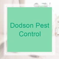 11 Best Pest Control Companies In North Charleston Sc Exterminators