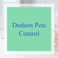 11 Best Pest Control Companies In Myrtle Beach Sc Exterminators
