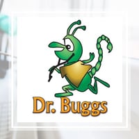 11 Best Pest Control Companies In Gainesville Fl Exterminators