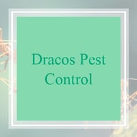 19 Best Pest Control Services In Chicago Il Exterminators