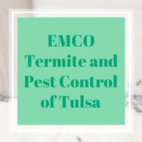 11 Best Pest Control Companies In Tulsa Ok Exterminators
