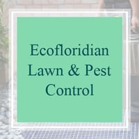 10 Best Pest Control Services in Spring Hill, FL ...