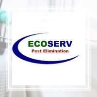 10 Best Pest Control Services in Phoenix, AZ | Exterminators