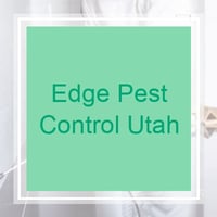 11 Best Pest Control Companies In Orem Ut Exterminators