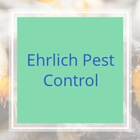 11 Best Pest Control Companies in Pensacola, FL ...