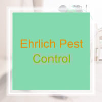 10 Best Pest Control Services in Marietta, GA | Exterminators
