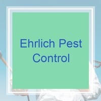 11 Best Pest Control Companies In Allentown Pa Exterminators