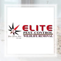 10 Best Pest Control Services In Stockbridge Ga Exterminators