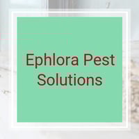11 Best Pest Control Companies In Kaufman Tx Exterminators