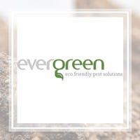 15 Best Pest Control Services In Nashville Tn Exterminators