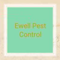 10 Best Pest Control Services in Hampton, VA | Exterminators