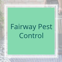 17 Best Pest Control Services In San Diego Ca Exterminators