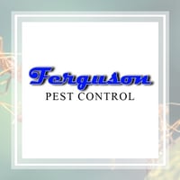 11 Best Pest Control Companies In Wichita Ks Exterminators