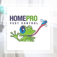 10 Best Pest Control Services in Chesapeake, VA ...