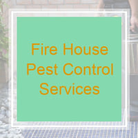10 Best Pest Control Services In Gilbert Az Exterminators