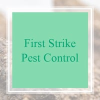10 Best Pest Control Services In Rockwall Tx Exterminators