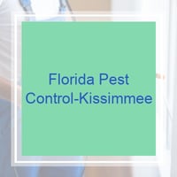 10 Best Pest Control Services In Kissimmee Fl Exterminators