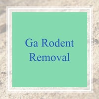 10 Best Pest Control Services in Monroe, GA | Exterminators