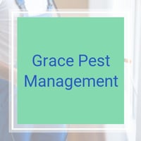 10 Best Pest Control Services In Dallas Ga Exterminators
