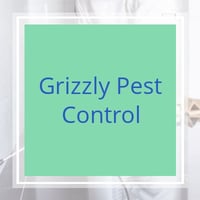 10 Best Pest Control Services In Peoria Az Exterminators