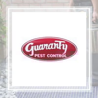 11 Best Pest Control Companies in Birmingham, AL ...