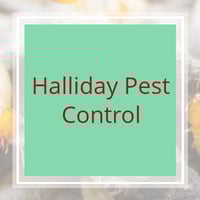 11 Best Pest Control Companies in Barnesville, GA ...