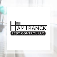 11 Best Pest Control Companies In Detroit Mi Exterminators
