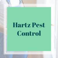 10 Best Pest Control Services In Houston Tx Exterminators