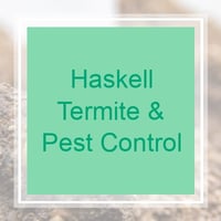 10 Best Pest Control Services In Tampa Fl Exterminators