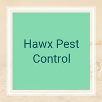hawx pest control hawx pest control