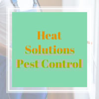 11 Best Pest Control Companies In Tulsa Ok Exterminators