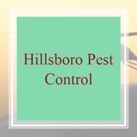 11 Best Pest Control Companies In Deerfield Beach Fl Exterminators