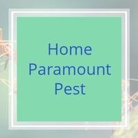 11 Best Pest Control Companies in Durham, NC | Exterminators
