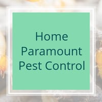 11 Best Pest Control Companies In Frederick Md Exterminators